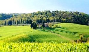 Un paesaggio della Toscana