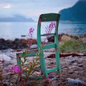 L’intelaiatura di una sedia di legno verde è abbandonata in prossimità di una spiaggia.