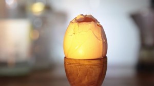 Un’immagine tratta dal filmato “AnnaCaregiver: Storie di ordinaria violenza”, realizzato da Anna Capaccioli e Cosma Ognissanti, mostra un uovo, posizionato su un portauovo di legno, il cui guscio viene progressivamente ridotto in frantumi.