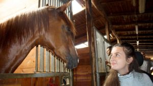 Una giovane donna con disabilità in una stalla, assieme ad un cavallo (foto tratta dal sito della UILDM sezione di Bergamo).