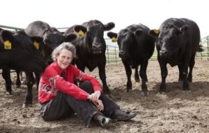Temple Grandin in un allevamento di mucche.