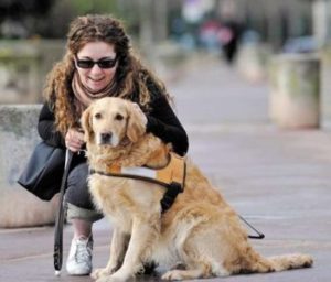 Una giovane donna cieca con il proprio cane guida.