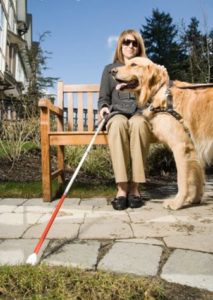 Una donna cieca col suo cane guida.